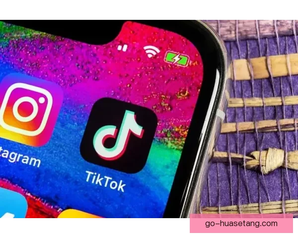 TikTok成人版：窥探数字时代的隐秘角落与无限可能